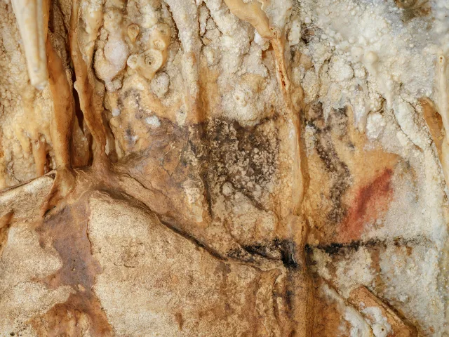 Art préhistorique et concrétions calcaires dans la grotte de Villars, en Dordogne.