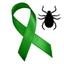Borréliose de Lyme, le déni ! logo