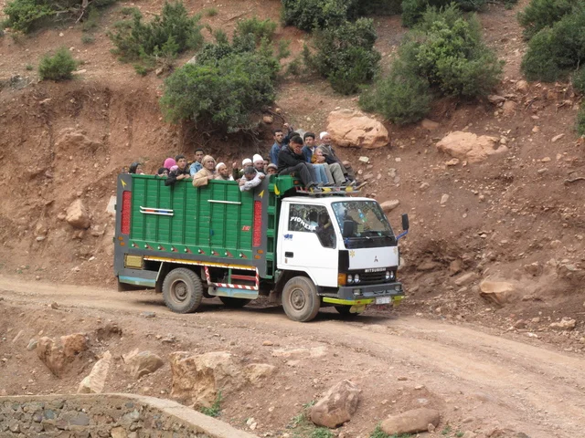 Bus berbère