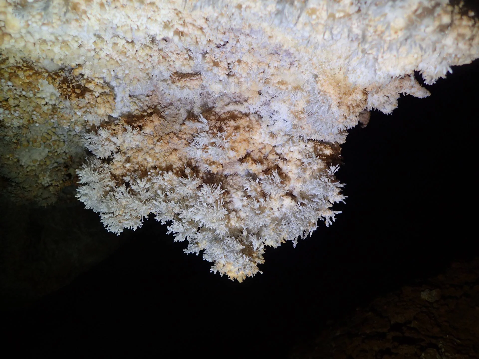 aragonite