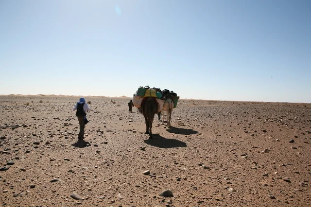 Le Reg, desert de pierres
