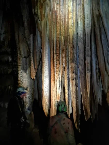 Magnifiques draperies
