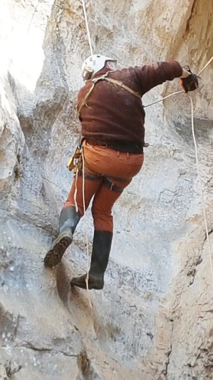 falaise