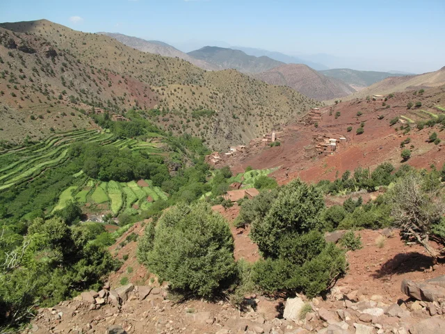 Le paysage est vert