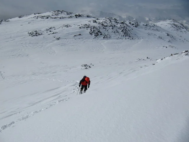 Un panorama ... polaire