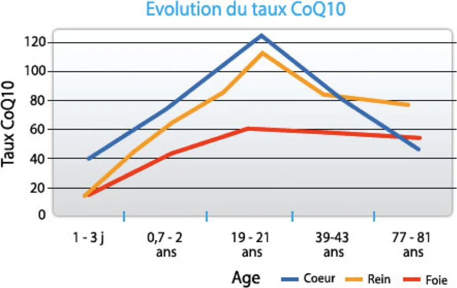 Taux de la coenzyme Q10 (en mg) en fonction de l'âge