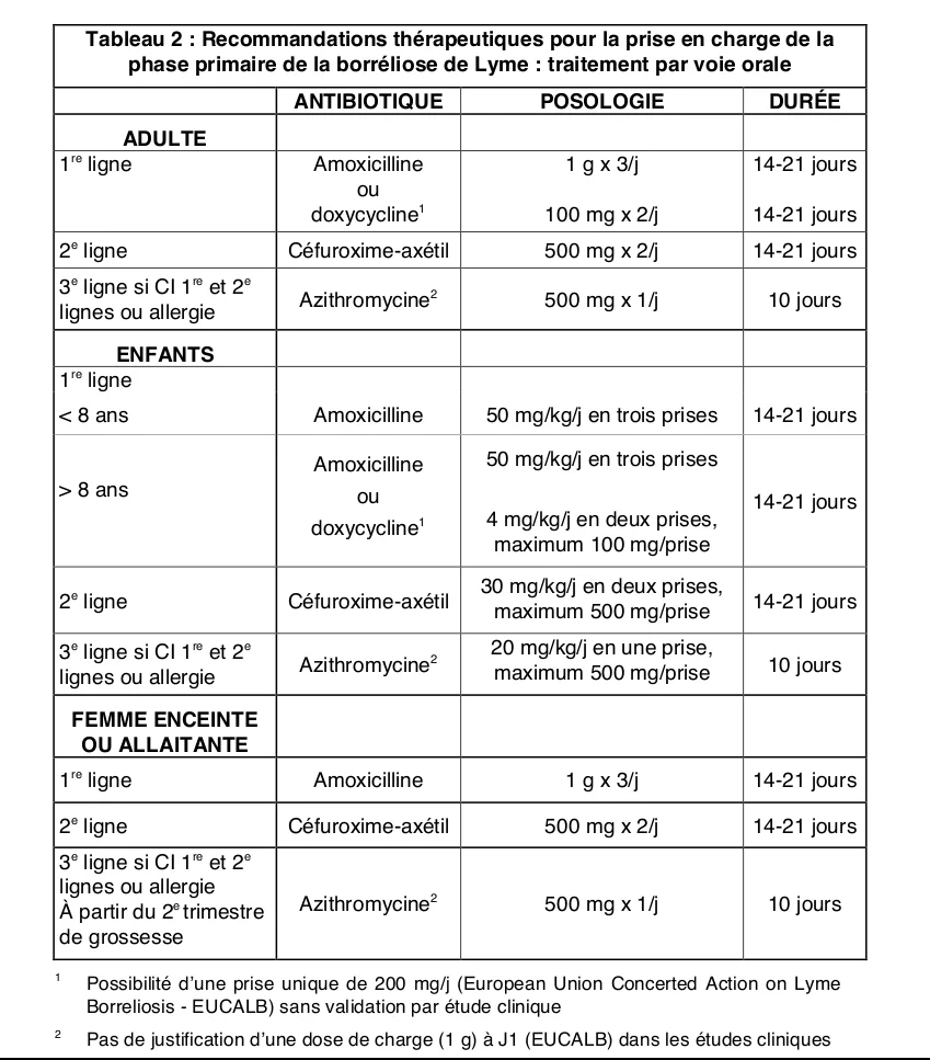 Tableau des recommandations thérapeutiques pour le traitement de la borréliose de Lyme, incluant les posologies pour adultes, enfants et femmes enceintes.