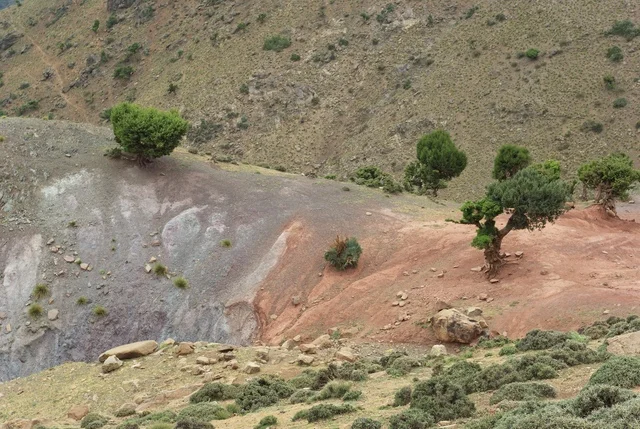 Une géologie variée