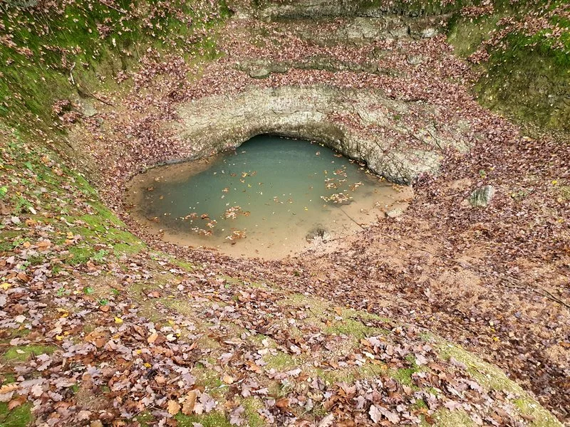 cougnaguet
