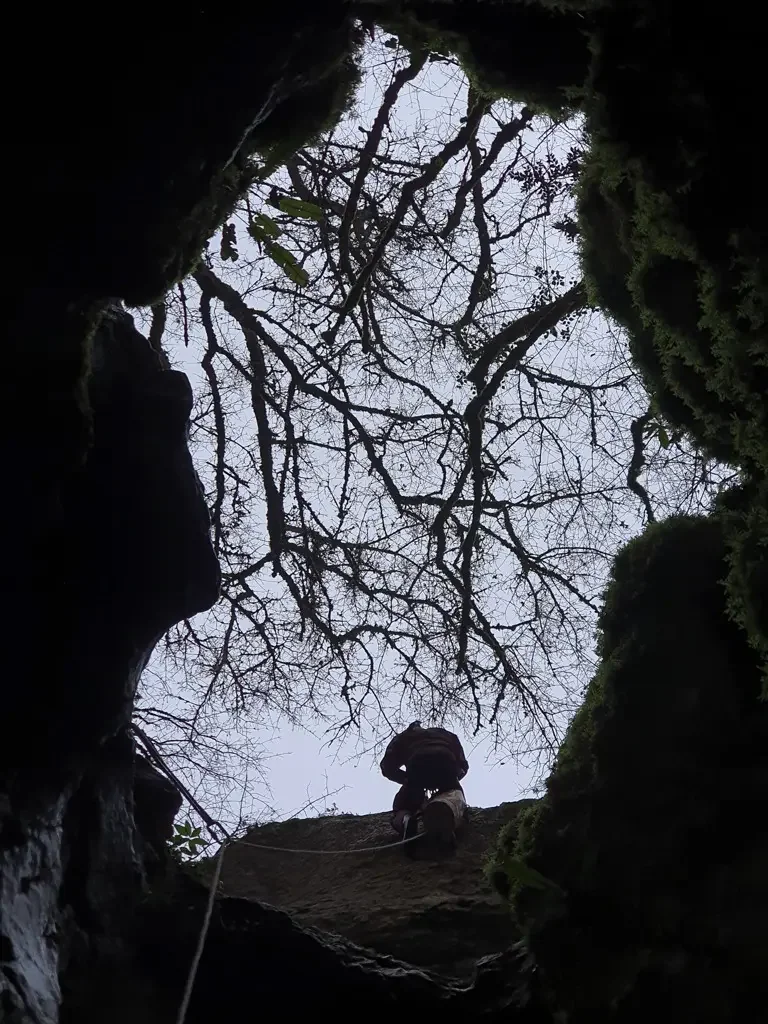 Contrejour à l'entrée