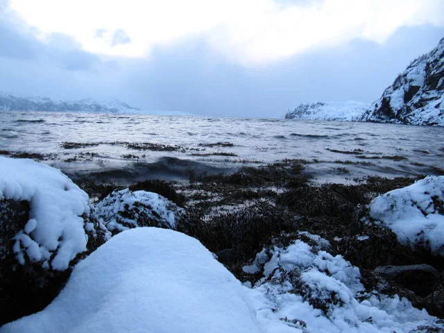 Mer et neige