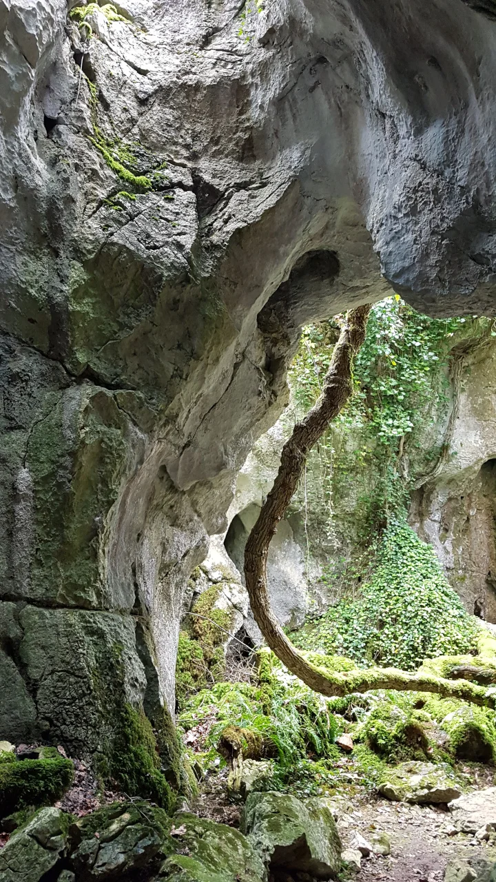 rochepercee