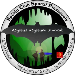 Logo SCSP