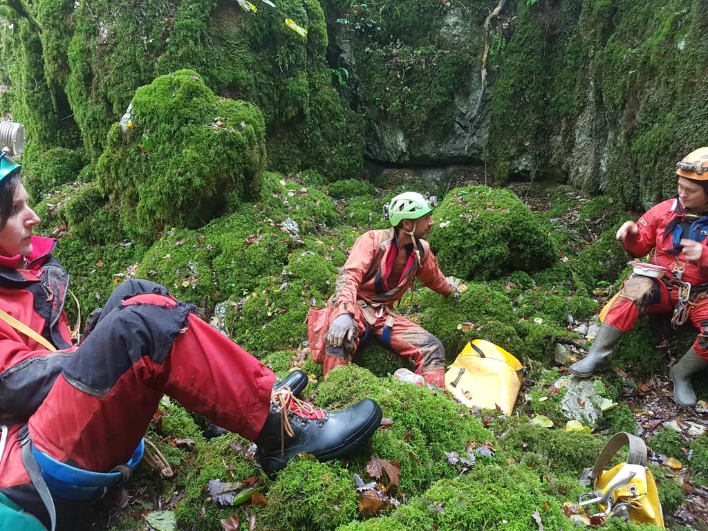 Repas au Lynx