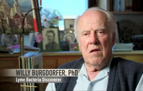 Willy Burgdorfer