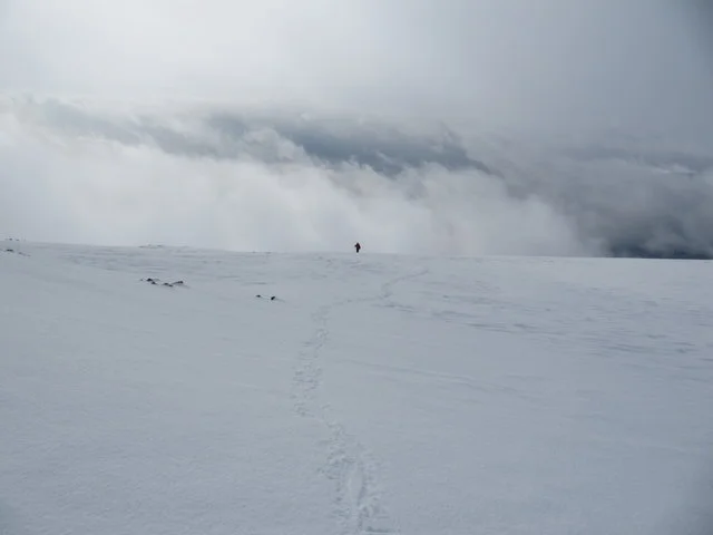 Des étendues neigeuses sans fin