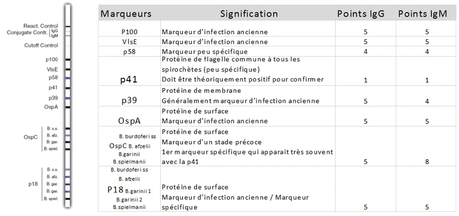 doc13