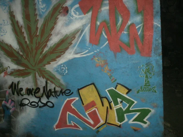 Fresque...