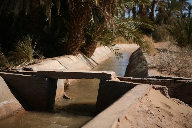 L'irrigation, point clé dans le désert