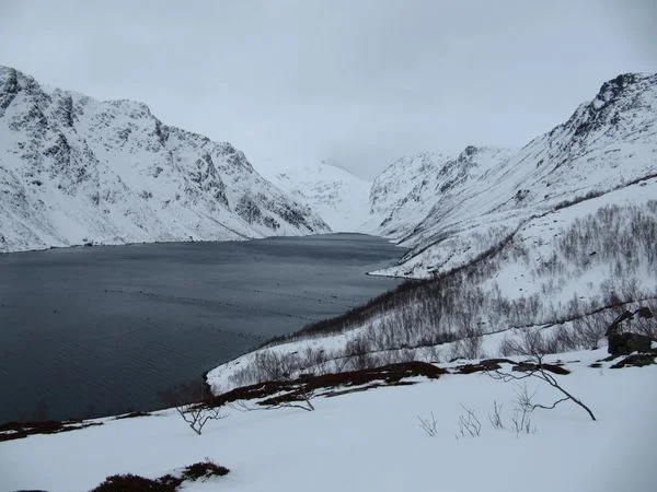 Le fond du fjord