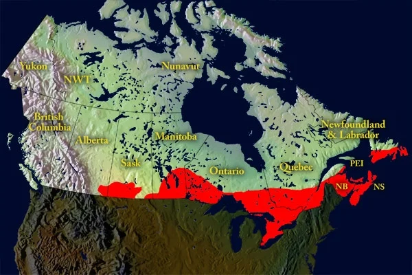 Ixode scapularis sur le territoire canadien en 2020