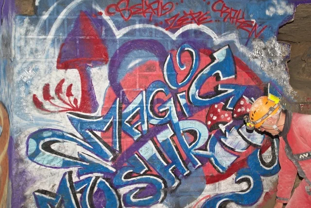 Fresque dans le Cellier