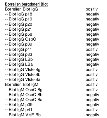 Extrait d'un résultat de Western Blot positif