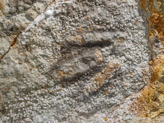 Empreinte tridactyle de dinosaure de l’Hettangien dans la rivière souterraine de Malaval, en Lozère.