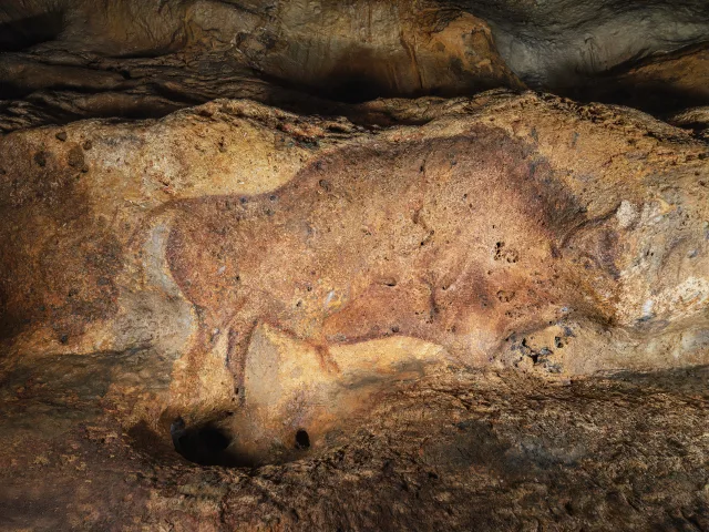 Peinture rupestre d'un bison sur une paroi rocheuse dans une caverne, avec des teintes brunes et ocres.