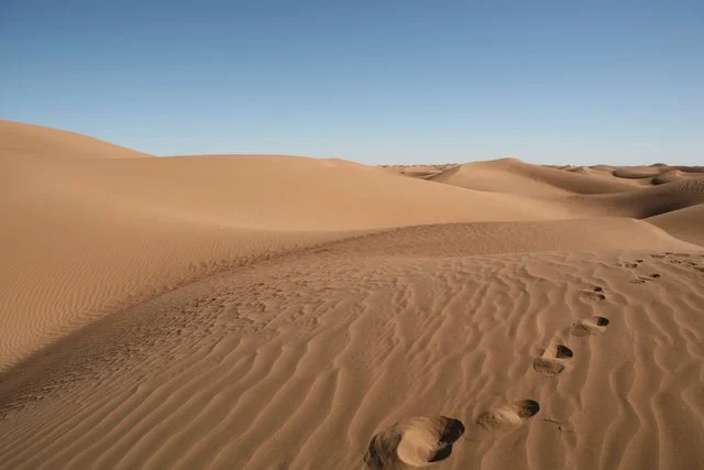 L'Erg, du sable a perte de vue