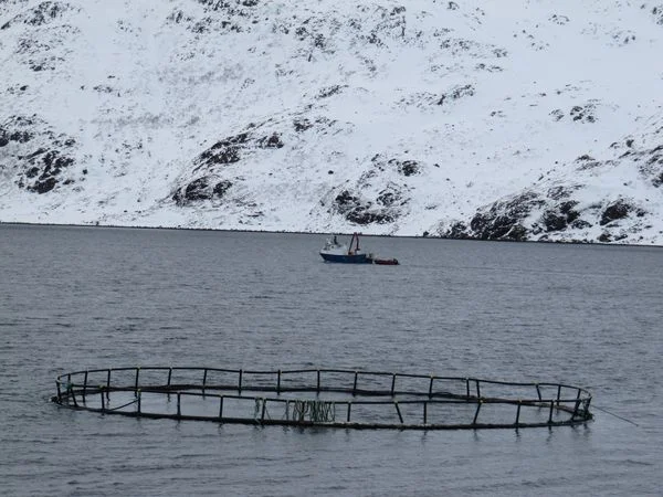 La pêche, la principale activité de l'île