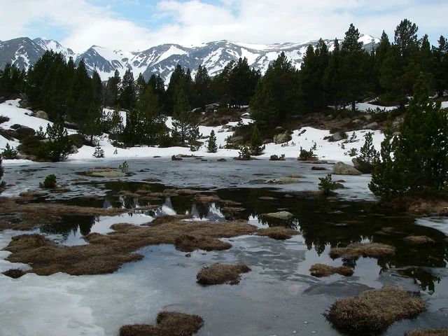 Beaucoup de lacs dans cette région