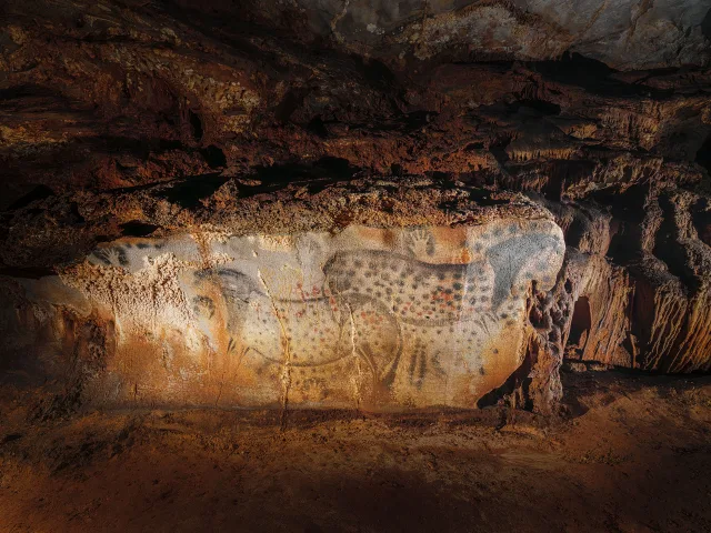Peintures rupestres trouvées dans une grotte, représentant des animaux stylisés et des motifs préhistoriques.